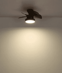 Globo stropni ventilator z LED svetilko 22W 3000-6500K