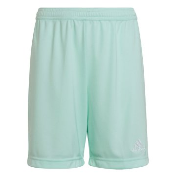 Adidas Hlače turkizna Entrada 22
