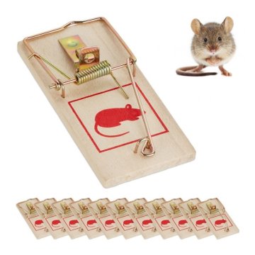 UNBRANDED Mišelovka Leseni set 12 kosov
