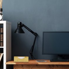 UNBRANDED Pladenj za datoteke iz bambusa 