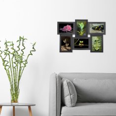 UNBRANDED Okvir za več fotografij 