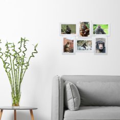 UNBRANDED Okvir za več fotografij 