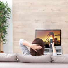 UNBRANDED TV miza s 4 predelki in kolesi 