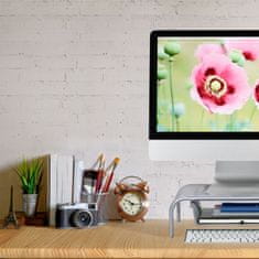 UNBRANDED Stojalo za monitor s škatlo 