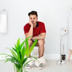 UNBRANDED 2 kos. straniščne ščetke 