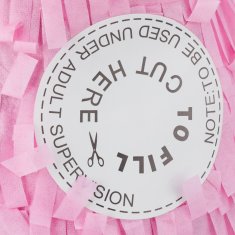 UNBRANDED Steklenica pinata prosecco 