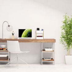 UNBRANDED Namizni organizator z 2 predelkoma 