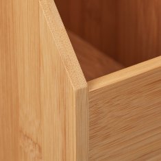 UNBRANDED Zbiralnik dokumentov s predalom 