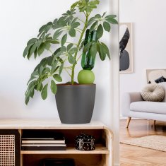 UNBRANDED 4 zalivalne krogle 