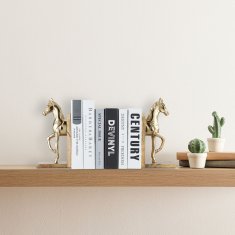 UNBRANDED Komplet 2 kosov za knjige 