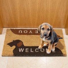 UNBRANDED Predpražnik iz kokosovih vlaken "Welcome/See You" 