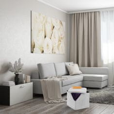 UNBRANDED Paleta s prostorom za shranjevanje 
