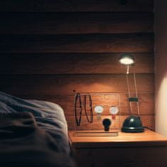 UNBRANDED Stojalo za nakit za ogrlice in uhane 