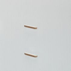 UNBRANDED Namizni organizator s predalom za shranjevanje 