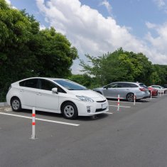 UNBRANDED Zložljiv pregradni steber 