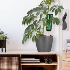 UNBRANDED Glineni stožec za namakanje Set 4 