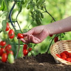 UNBRANDED Veziva za rastline 23 cm set 200 kos 