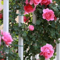 UNBRANDED Vezi za rastline 14 cm set 200 kom 