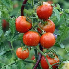 UNBRANDED Vezi za rastline 14 cm set 200 kom 