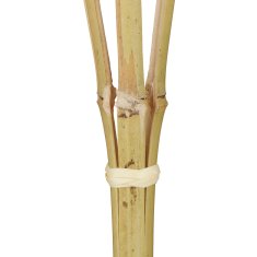 UNBRANDED set 10 vrtnih svetilk bambus 80 cm 