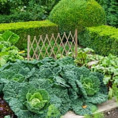 UNBRANDED Zložljiva lesena rešetka 