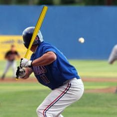 UNBRANDED Baseball kij iz zlatega aluminija 