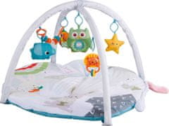 UNBRANDED W2Play Activity Baby Gym 