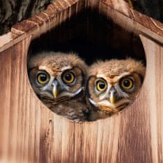 UNBRANDED Owl Nest Box Wood 