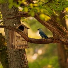 UNBRANDED Owl Nest Box Wood 