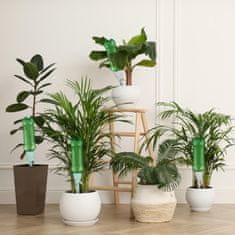 UNBRANDED Namakalni sistem za steklenice set 12 