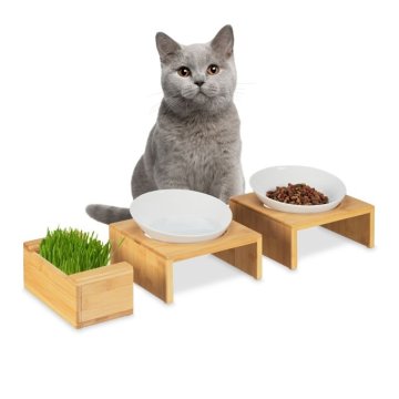 UNBRANDED Set z mačjo skledo in skledo za travo za mačke
