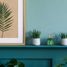 UNBRANDED Steklena razpršilna steklenica, komplet 3 