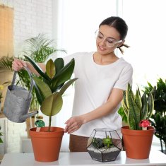 UNBRANDED Set 4 glinenih stožcev z motivom gobe 