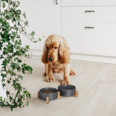 UNBRANDED Keramična pasja skleda z okvirjem iz bambusa 