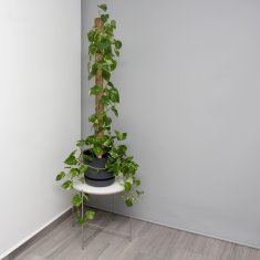 UNBRANDED set 10 kokosovih palčk 90 cm 