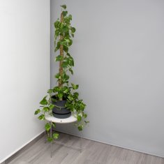 UNBRANDED set 5 kokosovih palčk 90 cm 