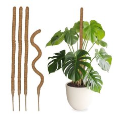 UNBRANDED set 5 kokosovih palčk 90 cm 