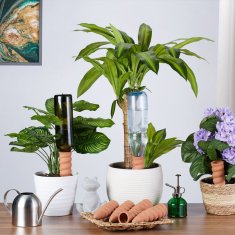 UNBRANDED Namakanje z glinenimi stožci, set 8 kom 