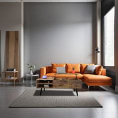 UNBRANDED Nišni voziček s 3 nivoji 