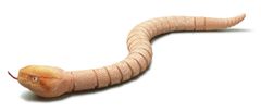 UNBRANDED Radijsko vodena kača - prodana naključno 