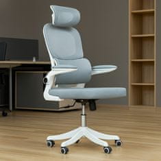 Aga Pisarniški ergonomski stol MR2083