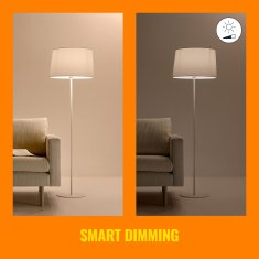UNBRANDED WiFi Smart LED E27 60W 806lm Toplo-hladno bela 2 pak 