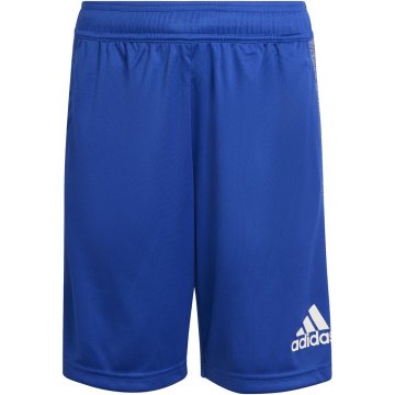 Adidas Hlače obutev za trening modra 159 - 164 cm/L Heather