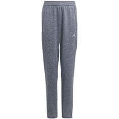 Adidas Hlače obutev za trening modra 147 - 152 cm/M Navy