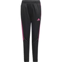 Adidas Hlače obutev za trening črna 147 - 152 cm/M Tiro23