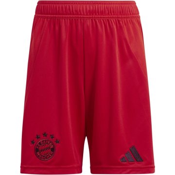 Adidas Hlače obutev za trening rdeča 171 - 176 cm/XL Fcb H