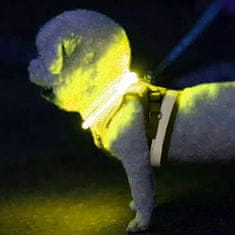 UNBRANDED LED svetlobno nastavljiva ovratnica Purlov 21631 
