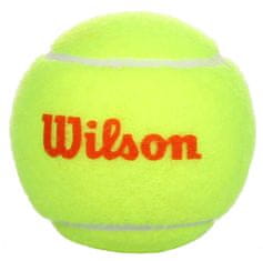 Wilson Začetne oranžne teniške žogice Pakiranje po 1