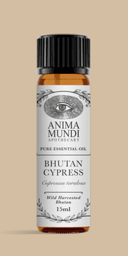 Anima Mundi eterično olje, Cypress, 15 ml