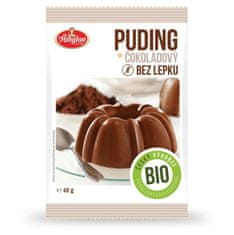 Amylon Čokoladni puding brez glutena, BIO, 40 g